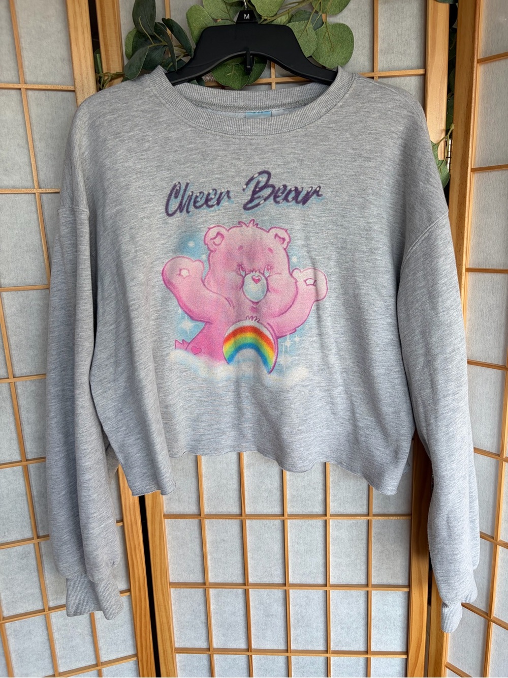 Care Bears Women' Cheer Bear Cropped Graphic Sweatshirt